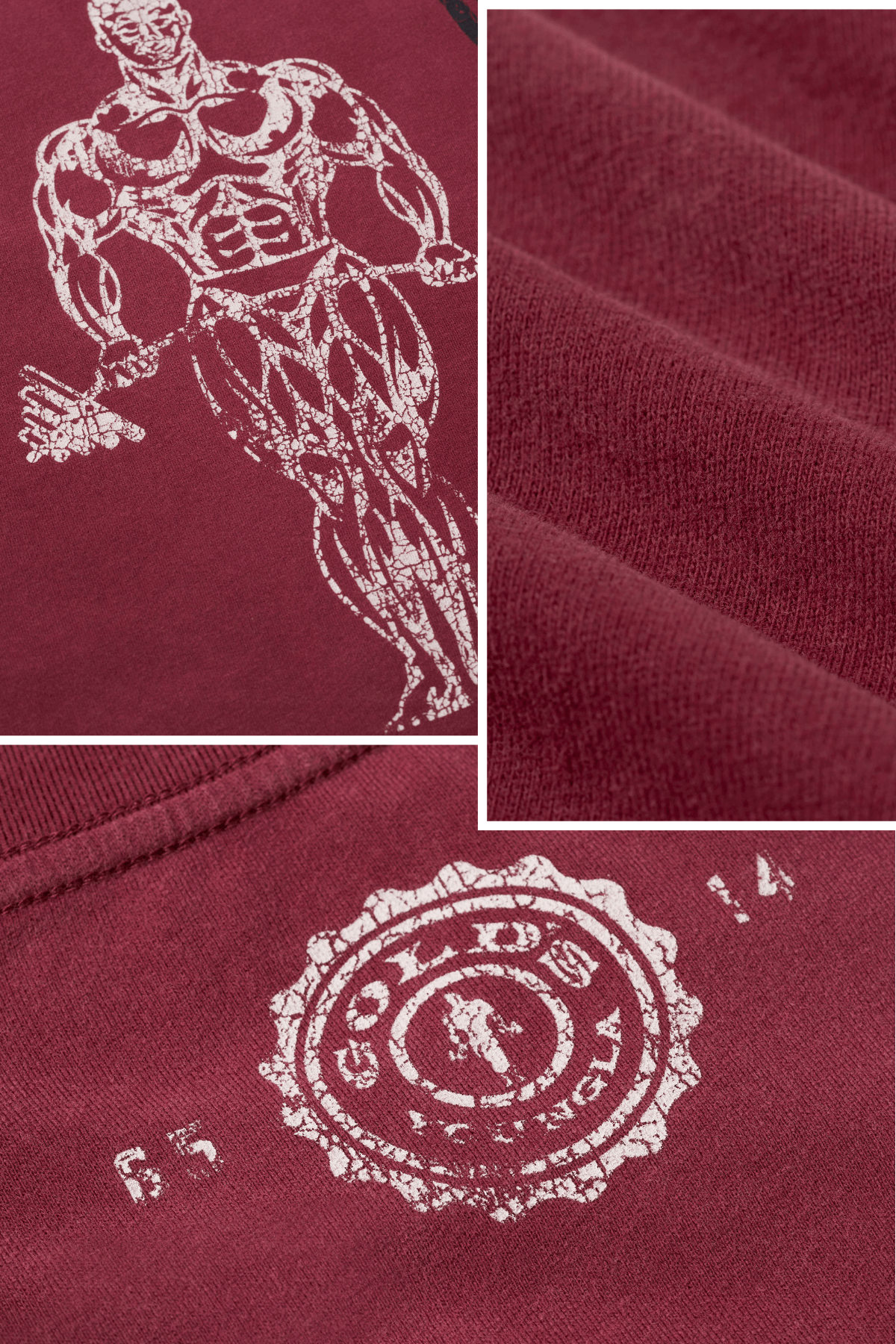 4213 - Gold's Iron Legacy Icon Tees - June 16th